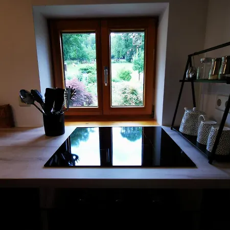 Birke Апартаменты Ильзенбург